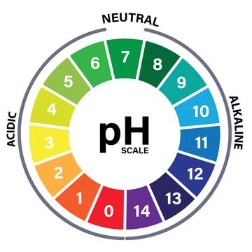 PH scale wheel icon. Scale indicator for litmus paper test sign. lab testing Stock-Illustration