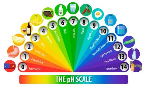 A pH scale on white background 스톡 일러스트