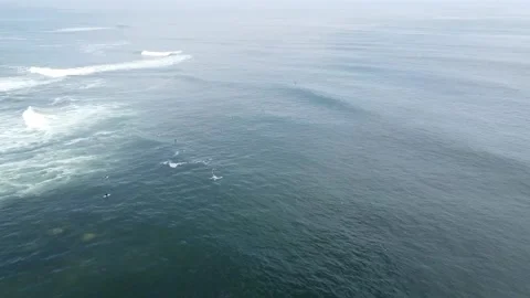 PH surfing Stock Footage 235202928