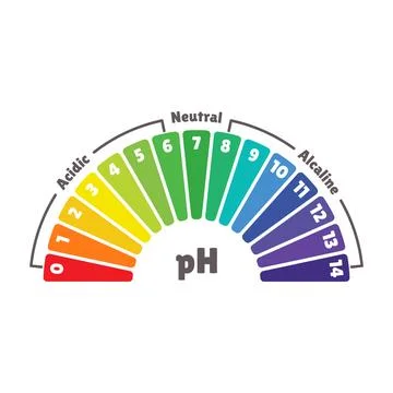 PH Value Scale for Acid and Alkaline Balance. Vector Stock Illustration