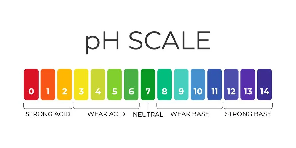 PH value scale chart for acid-alkaline solution. Acid-base balance infographic Stock Illustration