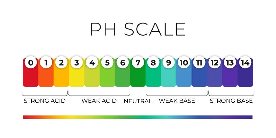 PH value scale chart for acid-alkaline solution. Acid-base balance infographic Stock Illustration