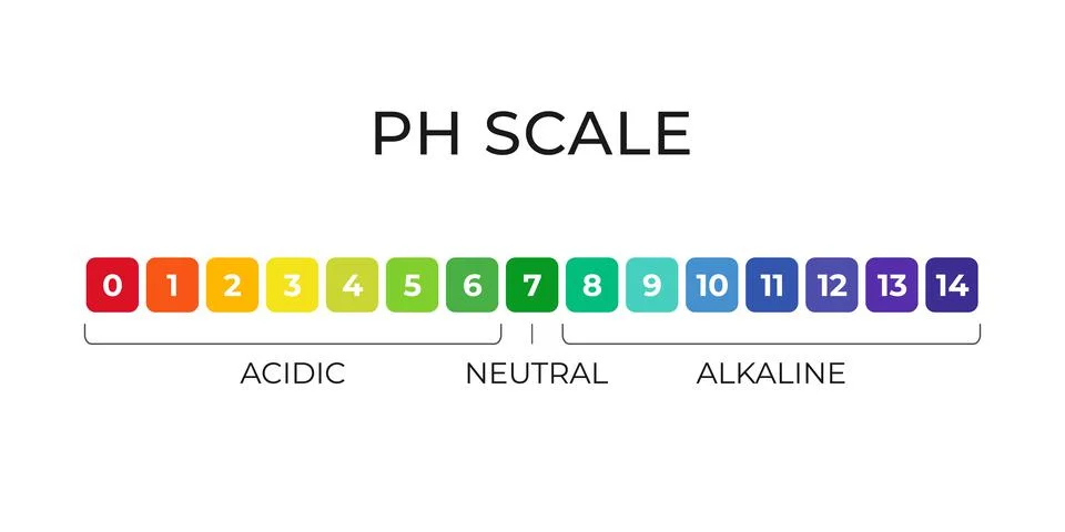 PH value scale chart for acid-alkaline solution. Acid-base balance infographic Illustrazione stock