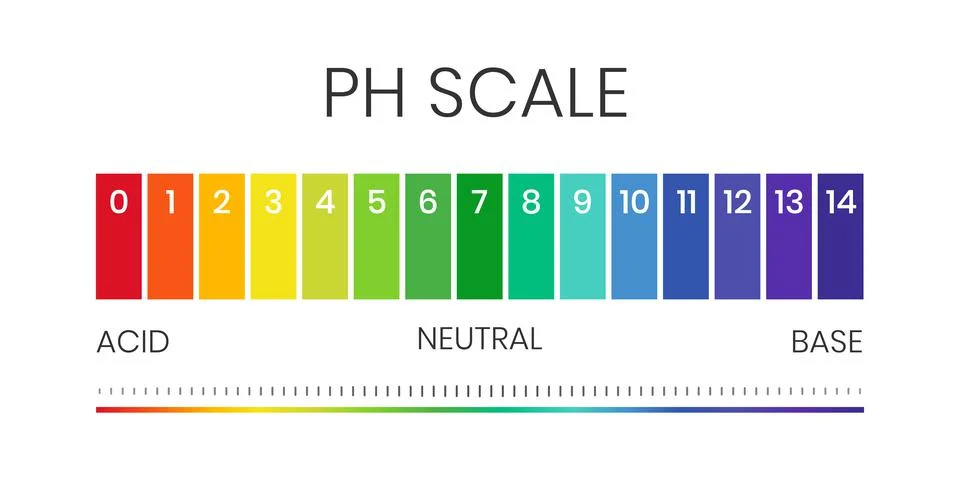 PH value scale chart for acid-alkaline solution. Acid-base balance infographic Stock Illustration