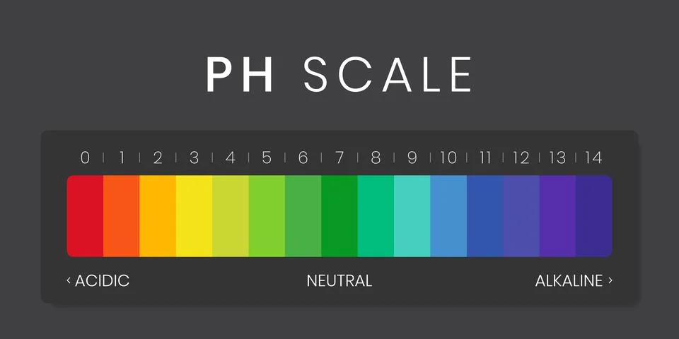 PH value scale chart for acid-alkaline solution. Acid-base balance infographic Stock Illustration
