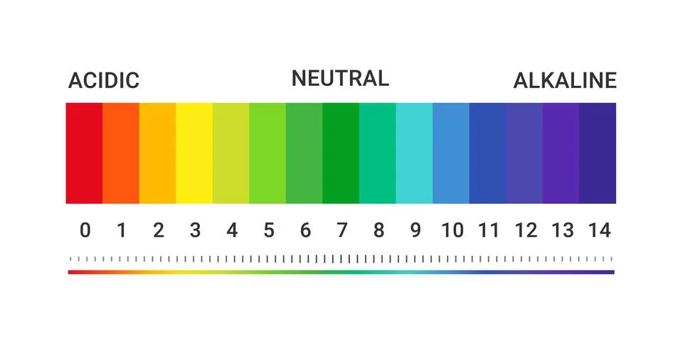 PH value scale chart for acid-alkaline solution. Acid-base balance infographic Stock Illustration