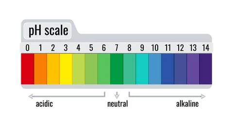 PH value scale chart meter for acid and alkaline solutions isolated on white Stock Illustration