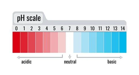 PH value scale chart meter for acid and base solutions isolated on white Stock Illustration