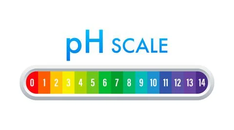 PH value scale meter. pH analysis chemical scale value test. Vector stock Illustrazione stock