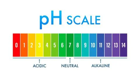PH value scale meter. pH analysis chemical scale value test. Vector stock Stock Illustration