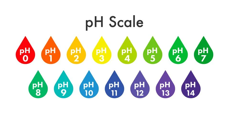 PH value scale meter. pH analysis chemical scale value test. Vector stock Stock Illustration