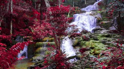 Pha Chareon Waterfall Stock Footage 87162905
