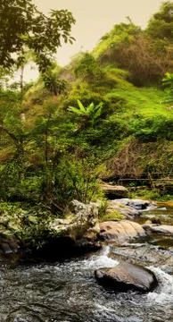 Pha Dok Seaw Waterfall Stock Photos