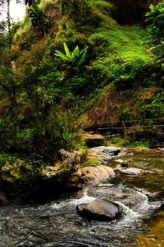 Pha Dok Seaw Waterfall Stock Photos