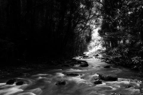 Pha Dok Seaw Waterfall Stock Photos