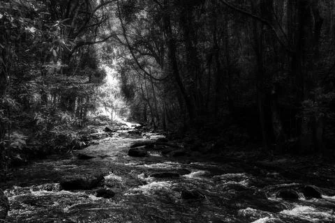 Pha Dok Seaw Waterfall Stock Photos