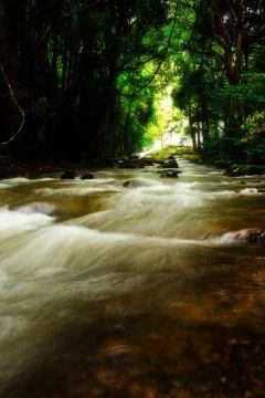 Pha Dok Seaw Waterfall Stock Photos