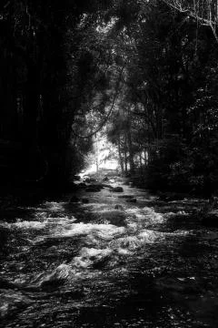 Pha Dok Seaw Waterfall Stock Photos