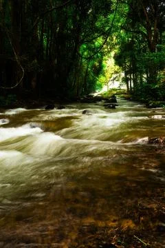 Pha Dok Seaw Waterfall Stock Photos