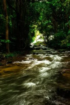 Pha Dok Seaw Waterfall Stock Photos