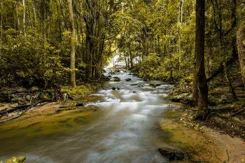 Pha Dok Xu waterfall at Doi Inthanon National park in Chiang Mai Thailand Stock-Fotos
