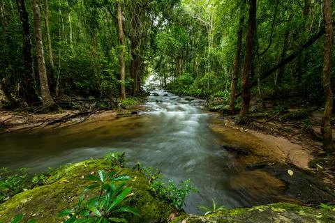 Pha Dok Xu waterfall at Doi Inthanon National park in Chiang Mai Thailand Stock-Fotos