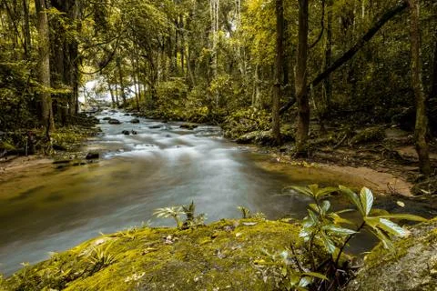 Pha Dok Xu waterfall at Doi Inthanon National park in Chiang Mai Thailand Stock Photos