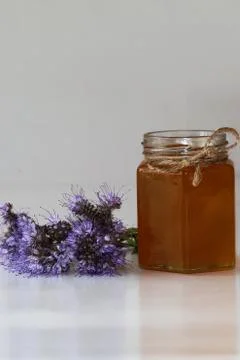 Phacelia flowers on a gray background with a jar of honey. Stock Photos