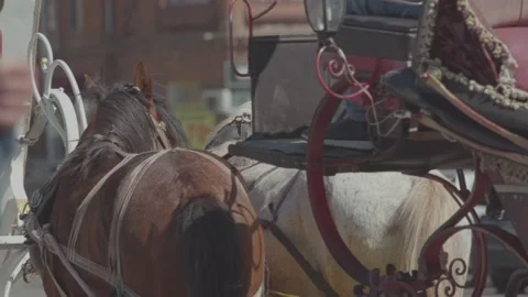 Phaeton 2 库存影片 329791301