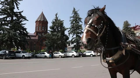 Phaeton in the city 2 Video stock 314516203