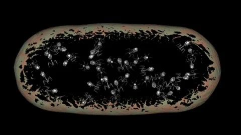 Phage therapy many viruses exiting exploding bacteria , cell.  3d animation Stock Footage 121129816