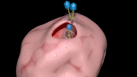 Phage therapy many viruses exiting bacteria , cell.  3d animation Video stock 121129817