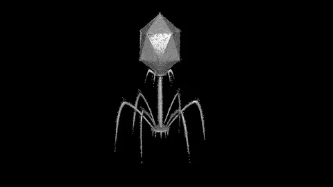 Phage therapy virus particles assembling . 3d animation Видео 121129855