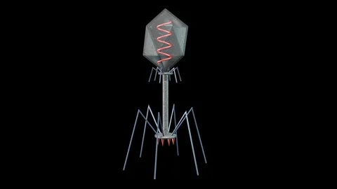 Phage therapy virus rotating . 3d animation Stock Footage 121129851