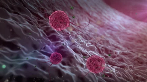 Phagocyte and virus Stock Footage 43088430