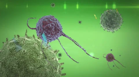 Phagocyte and virus Stock Footage 61212436