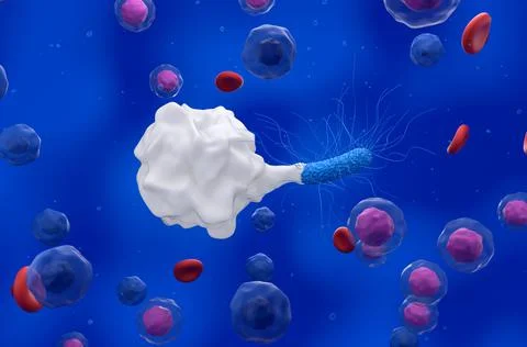 Phagocyte attack general bacteria in the blood flow Ilustração Stock