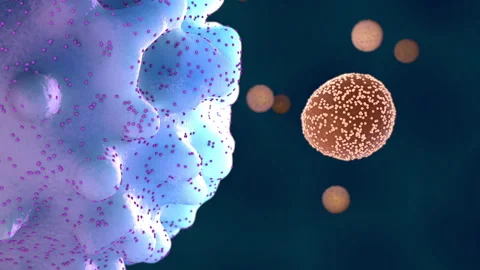 Phagocyte engulfing a virus particle, defending the body by removing pathog.. Stock Footage 336248675