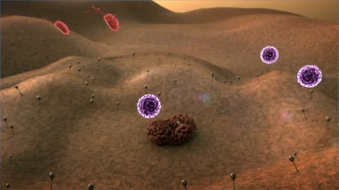 Phagocyte kills viruses Vidéo 122763261