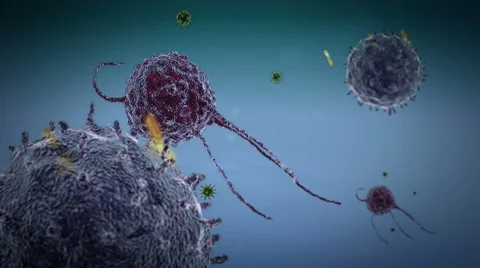 Phagocyte, virus, lymphocyte Vidéo 43087937