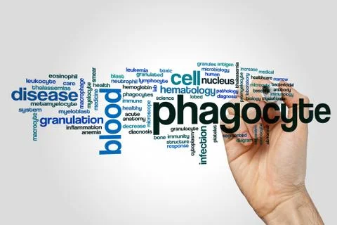 Phagocyte word cloud Stock Photos