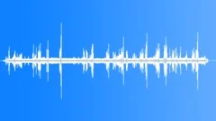 Phainopepla MCU Song Insects Sound Effect