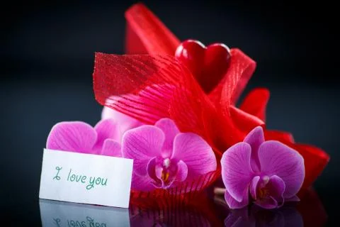 Phalaenopsis line with a declaration of love Stock Photos