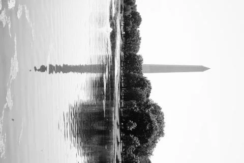 Phallic Reflection 写真素材