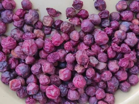 Phalsa berries closeup view highlighting rich color texture and summer fruite Stock Photos