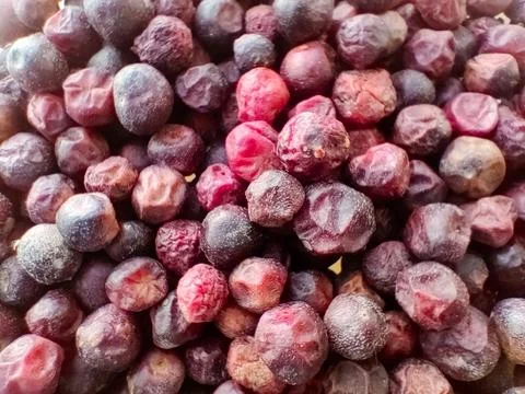 Phalsa berries macro photography capturing natural freshness and detailed Stock Photos