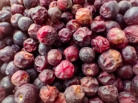 Phalsa berries macro texture background filled with seasonal freshness Stock Photos