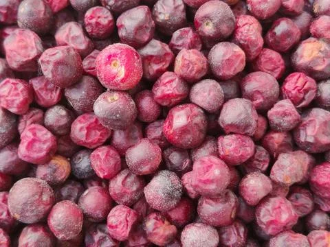 Phalsa fruit closeup background filled with ripe berries Stock Photos