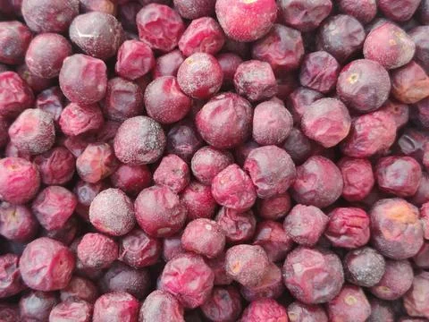 Phalsa fruit closeup filled with ripe purple berries showing freshness Stock Photos