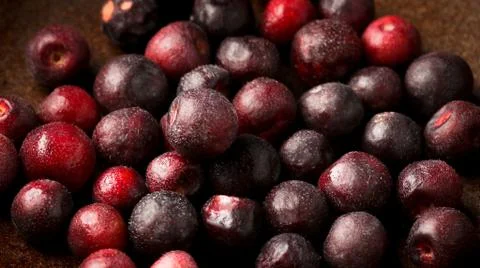 Phalsa - Grewia asiatica Foto stock